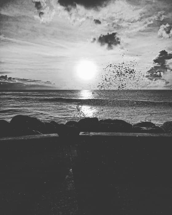 2455083A-6B1D-498C-92F4-ED2E923A4615.jpeg