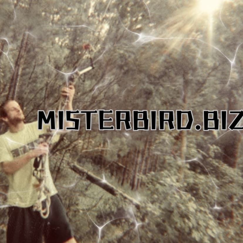 Player OneSITE THUMBA.jpg