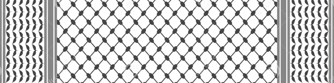 palestinian-keffiyeh-checkered-scarf-seamless-pattern-background-black-white-fishnet-olive-leaves-230199614.webp