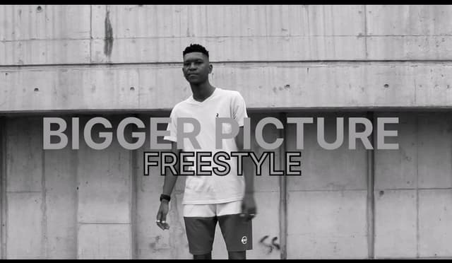 BIGGER PICTURE[FREESTYLE] 