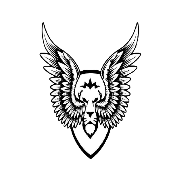 logo troll45.png