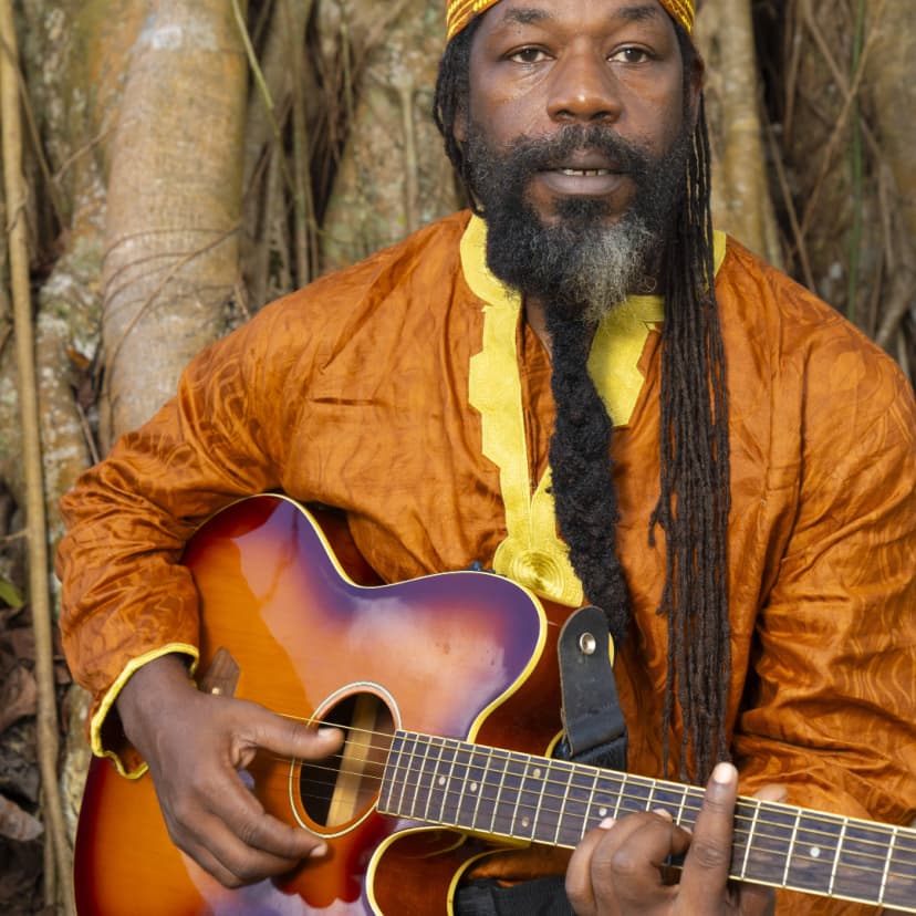Akin gtr Tree roots.jpg